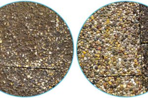 proctes-haushaltsreinigung-gehweg