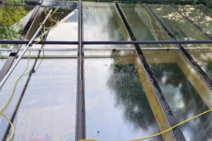 Fensterreinigung mit Teleskopstange