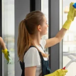 Fensterreinigung in Heimsheim